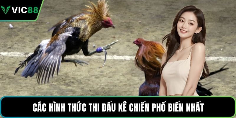 Các hình thức thi đấu kê chiến phổ biến nhất