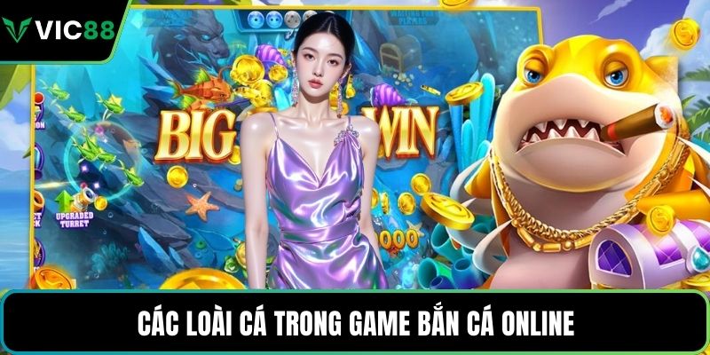 Các loài cá trong game bắn cá online