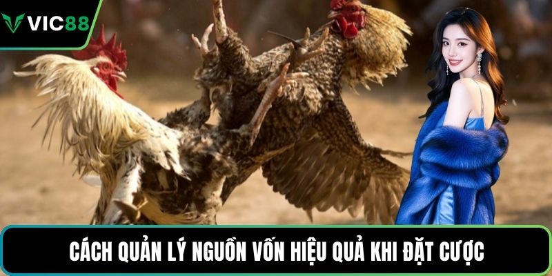Cách quản lý nguồn vốn hiệu quả khi đặt cược