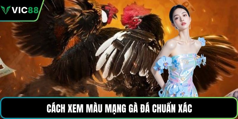 Cách xem màu mạng gà đá chuẩn xác