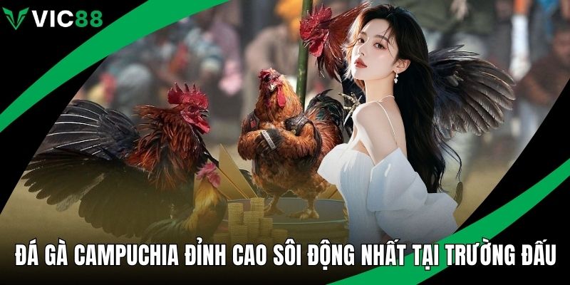 Đá gà Campuchia