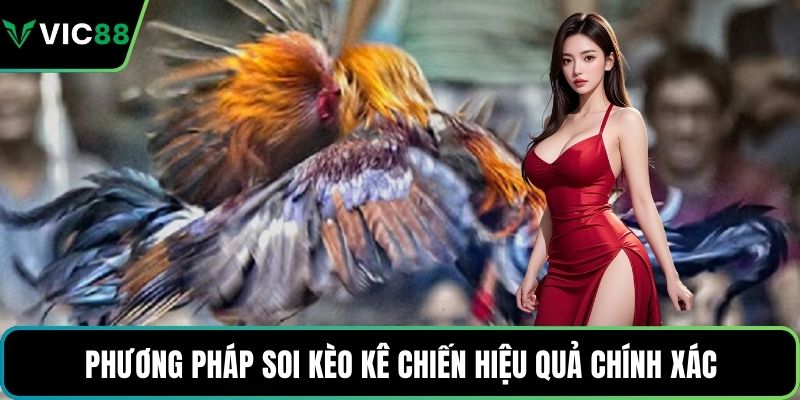 Phương pháp soi kèo kê chiến hiệu quả chính xác